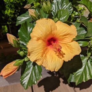 Meet your Posher, Delia